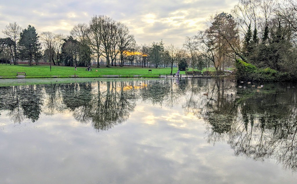Lake reflections at Haslam Park, Preston