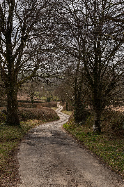 The long and winding lane.....