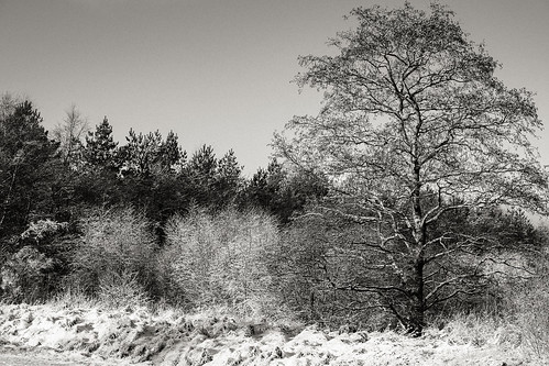 blackwhitephotos denmark dragonkasernen holstebro bw landscape nature snow winter centraldenmarkregion nørrefelding