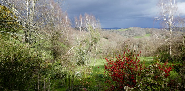 Au jardin, ciel noir de mars, Bosdarros, Béarn, Pyrénées Atlantiques, Nouvelle-Aquitaine, France.