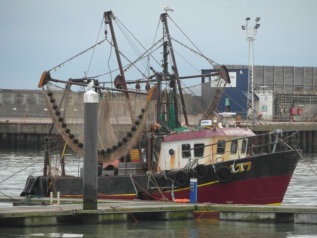Beam trawler Serene Dawn, LT 7 of Lowestoft