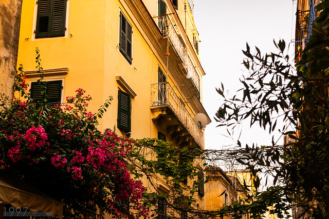 Flowers in Corfu Town