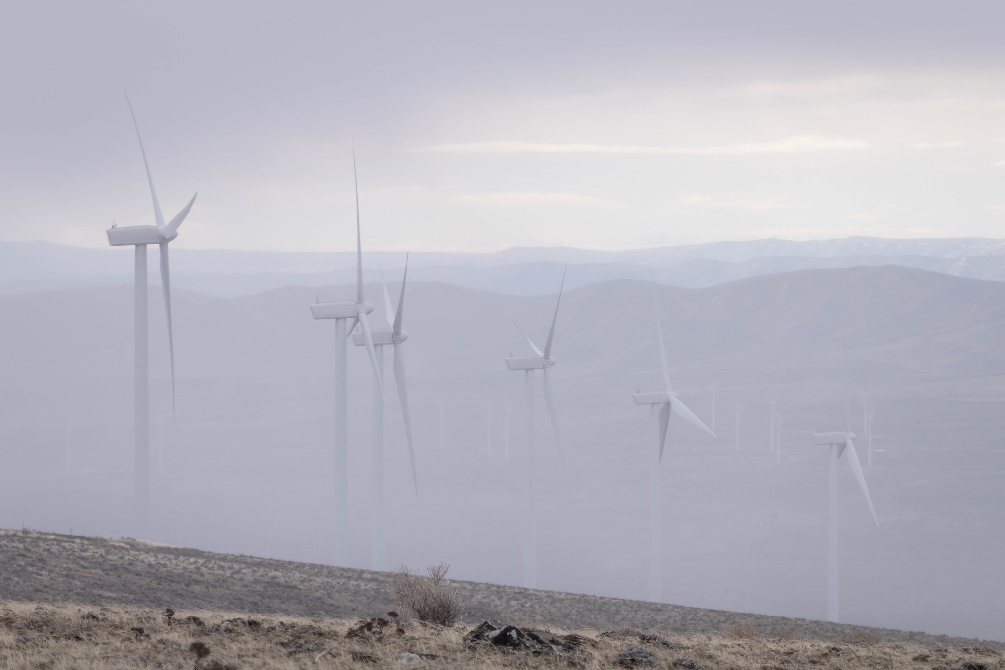 The misty wind turbines on Whiskey Dick Mountain