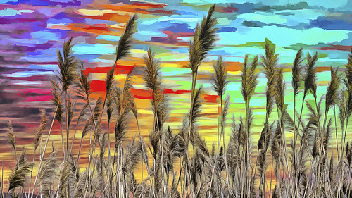reeds sky color river landscape fauna colorful day digital flickr country bright happy colour scenic america world sunset red nature blue white tree green art light sun cloud park summer old new photoshop google bing yahoo stumbleupon getty national geographic creative composite manipulation hue pinterest blog twitter comons wiki pixel artistic topaz filter on1 sunshine image reddit tinder russ seidel facebook timber unique unusual fascinating