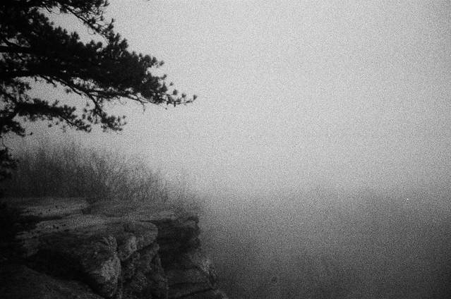 Foggy view from the top of the Gunks
