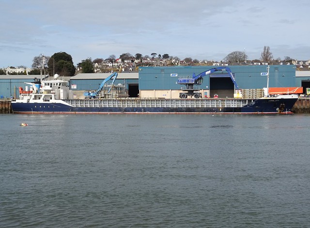 MV VITALITY (IMO:9472012) AIS Vessel type General cargo_ Call Sign :MGCU4 (MMSI:232024448) Faversham Ships Ltd