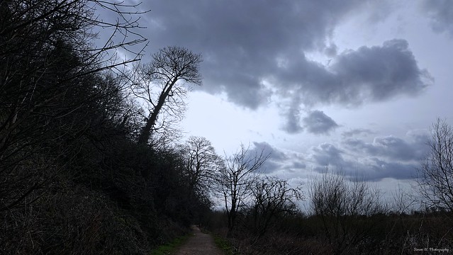 Riverside path. March 2021 [in explore] (Flickr Explore)