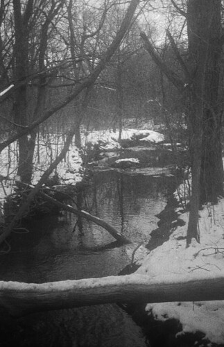 landscape river snow forest creek logs kodakbantam kodaktrix400 rodinol film analog blackandwhite bw
