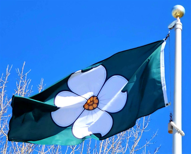 Flag of Norfolk County, Ontario