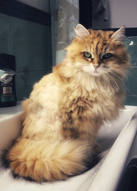 Moment in bath