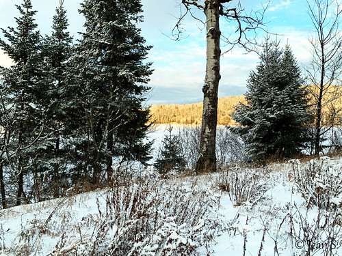 hill mountain lake snow ice cold winter trees sky clouds golden sunset white blue grass