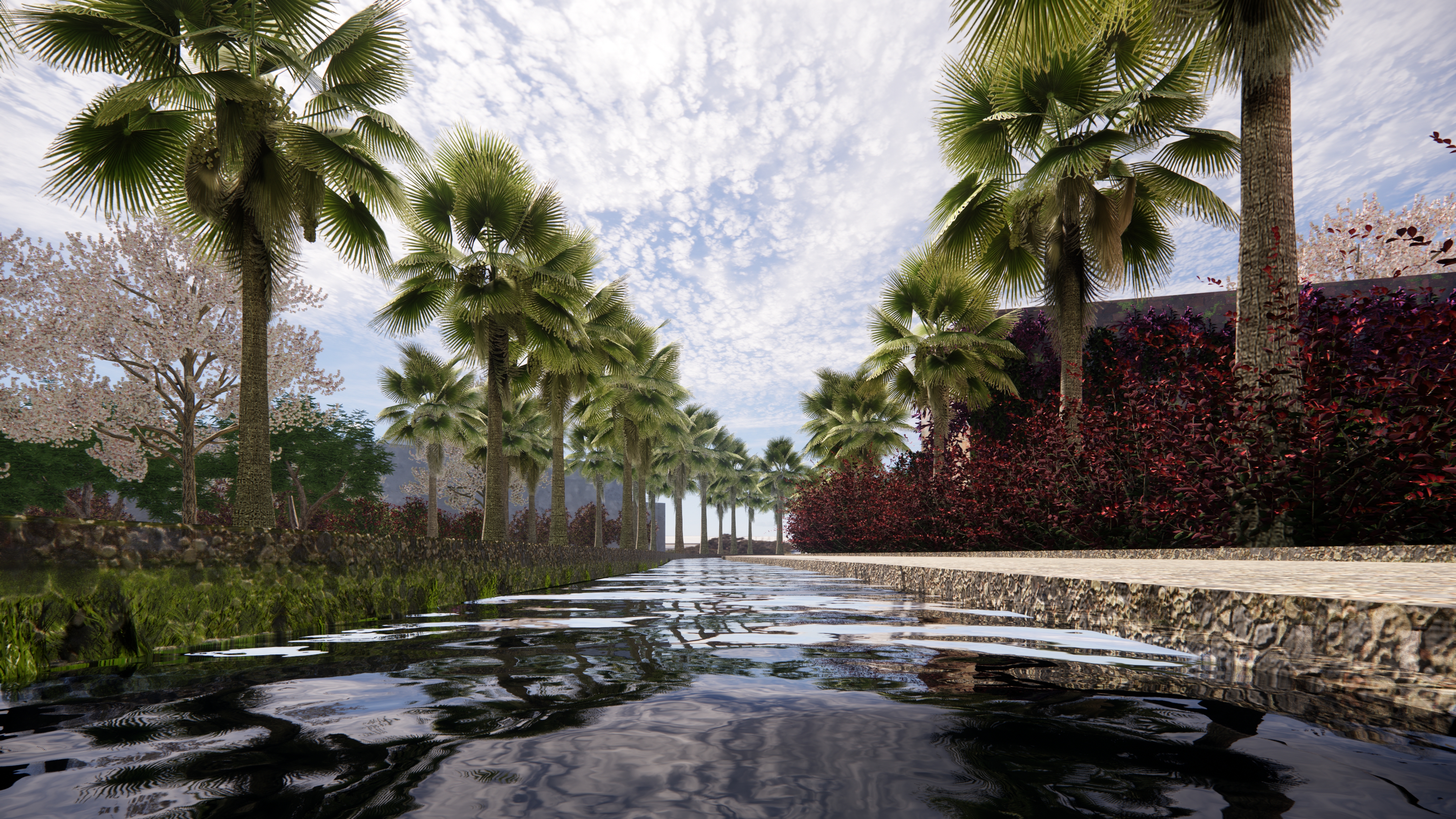 Water mirror with palm trees