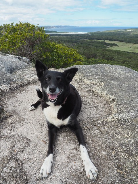 Jess on Monkey Rock - Birthday Walk, Mt Hallowell, Denmark Western Australia