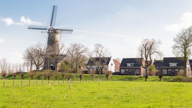 View of the windmill 'Prins van Oranje' of the picturesque old village Buren in Neder-Betuwe, Gelderland, The Netherlands