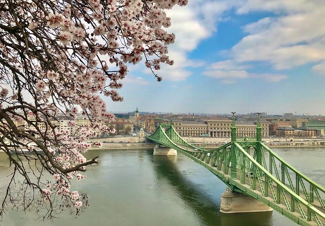 Budapest in Bloom