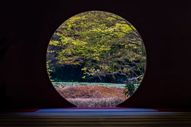 Zen Encapsulated By Design At Meigetsu-in Temple