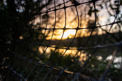 fence netting mesh sunset sundown bokeh thespoon ecclesbournereservoir pentaxart