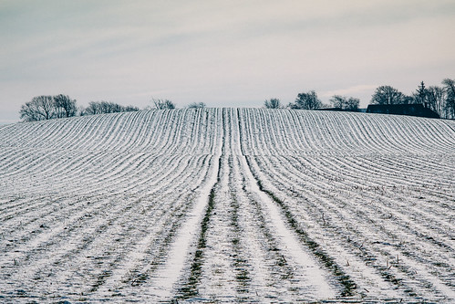 minoltamctelerokkor100mmf35 contrejour field landscape nature snow winter struer centraldenmarkregion denmark