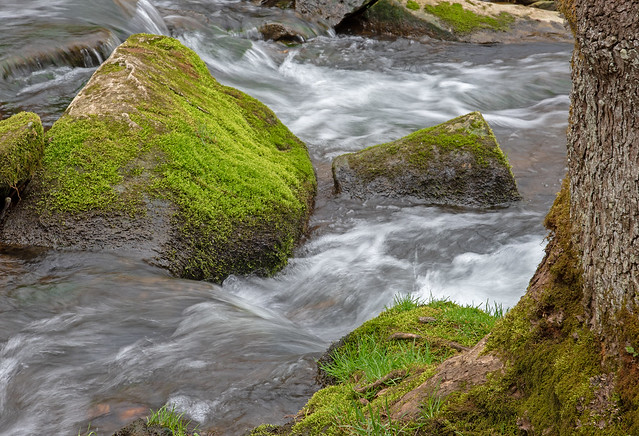 Mossy rocks and stream from wet cave