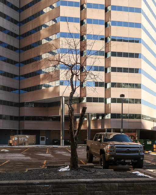 A pitiable tree at a ridiculous brownish-pink office tower from 1982, plus a ridiculous monster truck.