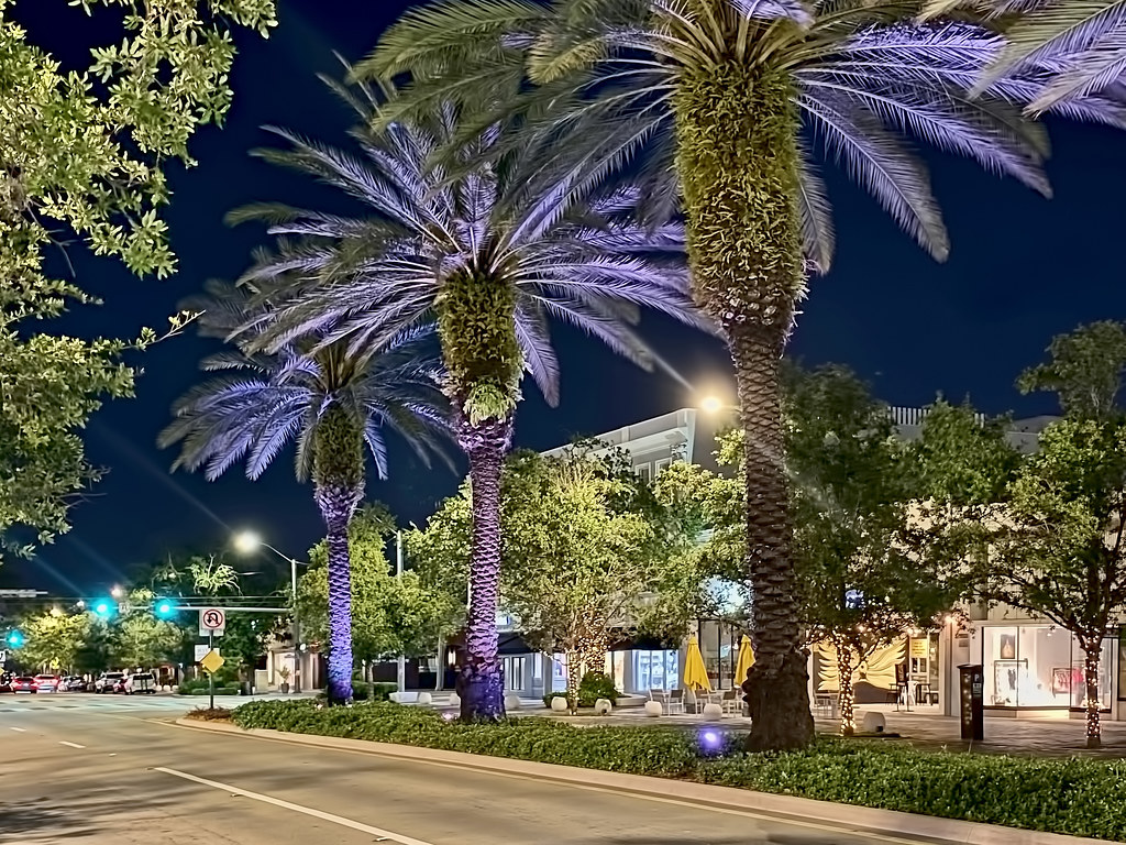 Miracle Mile, City of Coral Gables, Miami-Dade County, Florida, USA.