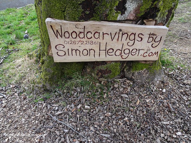 Wood carvings by Simon Hedger at Swansea Singleton Park 2021 03 27 #0