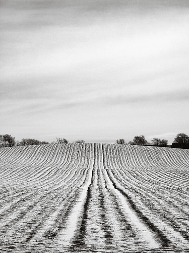 blackwhitephotos minoltamctelerokkor100mmf35 bw contrejour field landscape nature snow winter struer centraldenmarkregion denmark