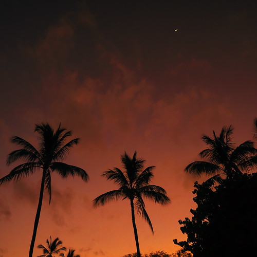 makenacove maui makena cove beach palms cloud island hawaii panasonic gx7 lumix morning sunrise clouds trees palm sky light silhouette orange moon crescent