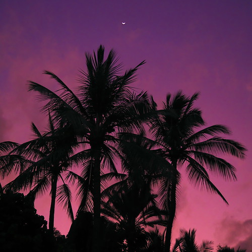 makenacove maui makena cove beach palms cloud island hawaii panasonic gx7 lumix morning sunrise clouds trees palm sky light silhouette purple pink crescent moon