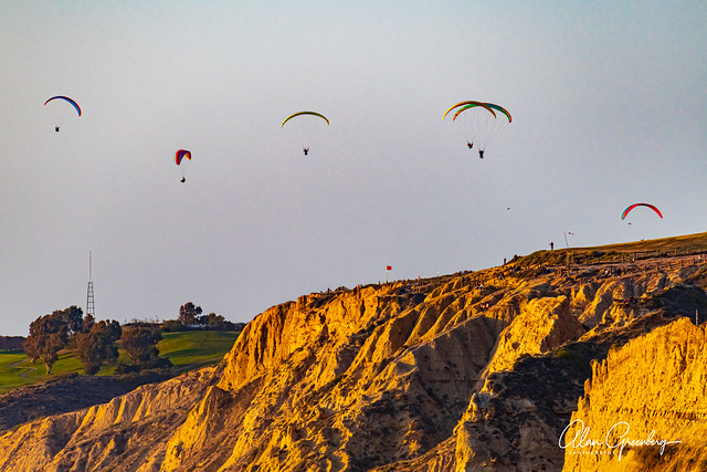 Paragliders at the Torrey Pines Gliderport