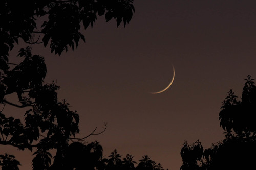 2020 kennettsquare longwood longwoodgardens pennsylvania darksky moon sky sliver trees unitedstates evening night sunset crescent