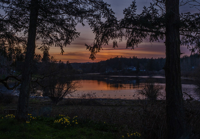 Backyard tales...sunsets in Spring