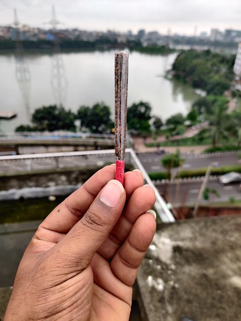 Joint (cannabis)