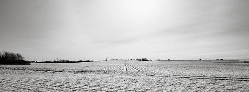 blackwhitephotos bw contrejour field landscape nature snow winter struer centraldenmarkregion denmark