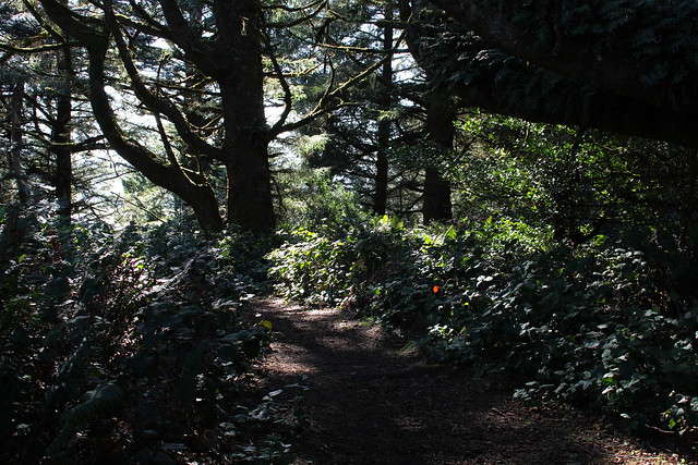 The trail down to the headlands invites