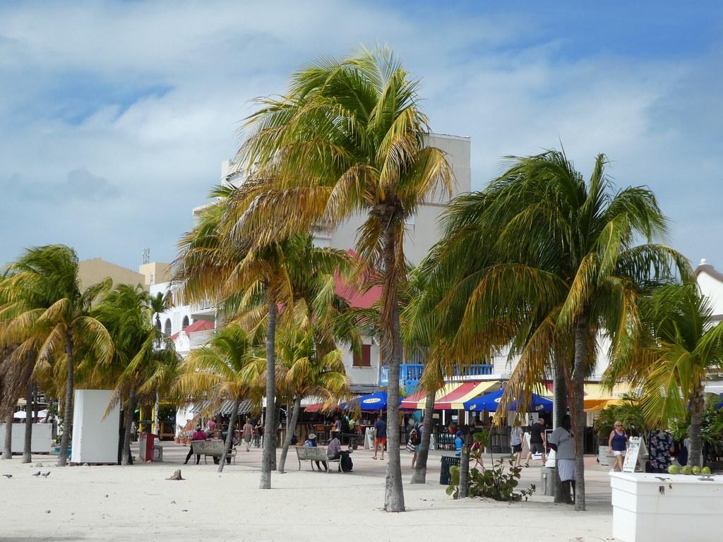 Philipsburg, Sint Maarten - Beach Palm Trees
