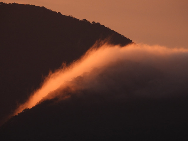 Dawn Rainforest Cloudscape - Feb 20, 2020