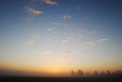 Misty Dawn, delaware ohio oh delawarecounty airportroad rural farm farms farmland farmcountry morning mornings sunrise spring springtime fog foggy fogged mist misty road roads landscape landscapes vista vistas field fields plant plants branch branches