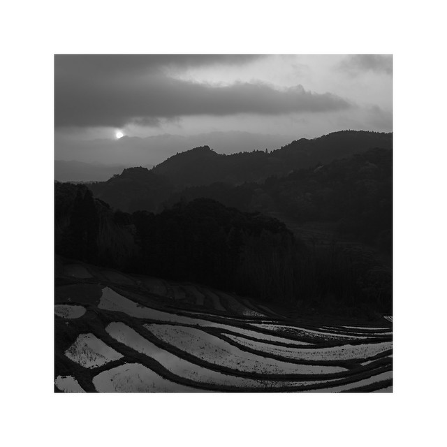棚田 - rice field