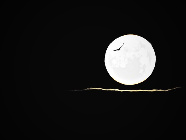 Worm Moon Fly By