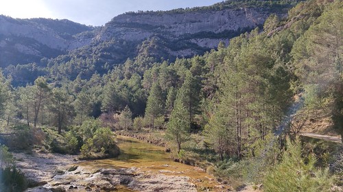 IMG_20210331_100902