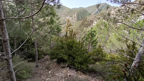 IMG_20210330_122935