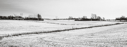 blackwhitephotos bw contrejour field landscape nature snow winter struer centraldenmarkregion denmark
