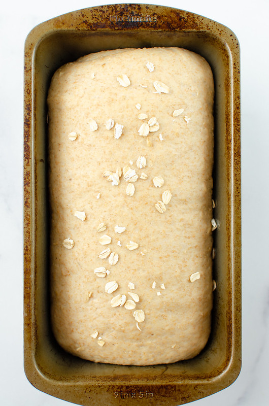 Unbaked wheat oat bread in a loaf pan with oatmeal sprinkled on top