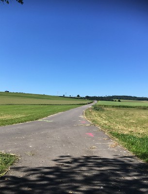 Intersport Denzer Laufcup Lauf an der Wutach Reiselfingen (June 2019)