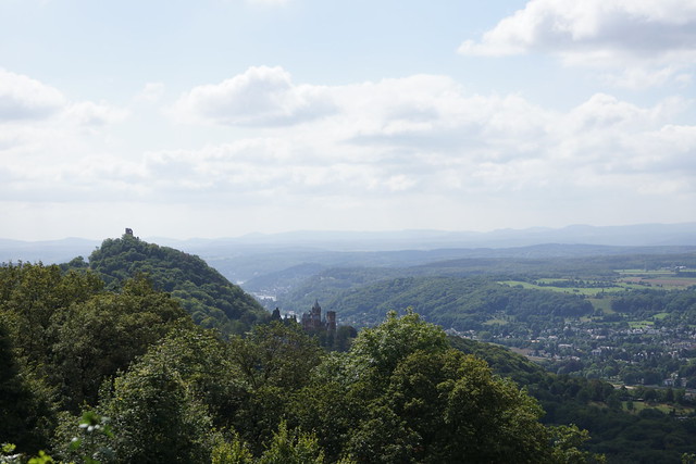 Rhine valley - Drachenfels