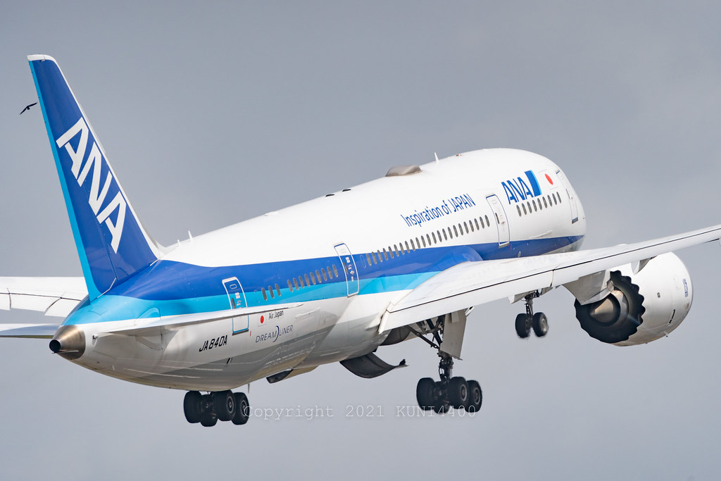 JA840A - B788 - All Nippon Airways