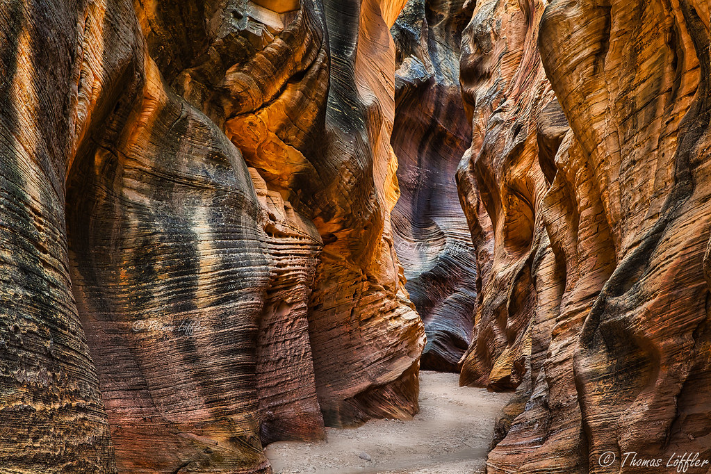 Willis Creek Slot Canyon