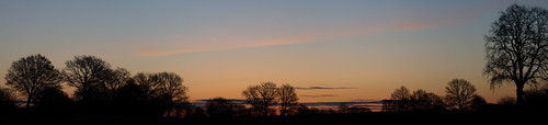 nikond850 sigma135mm18 pano panorama landscape goldenhour morning trees sunrise goldenestunde landschaft