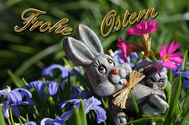 Frohe Ostern! Happy Easter!